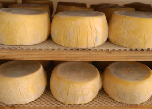 Tafí, queso y artesanos