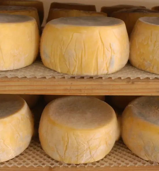 Tafí, queso y artesanos