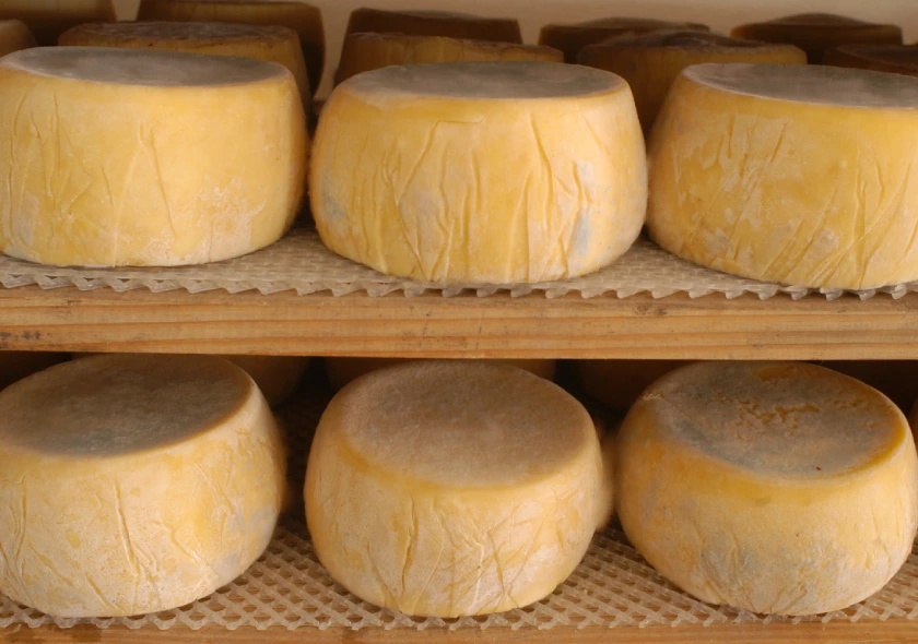 Tafí, queso y artesanos